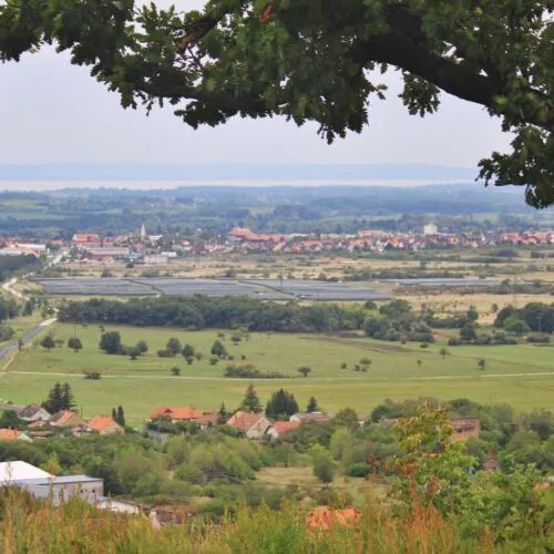 Panoráma
