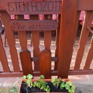 Köszöntő